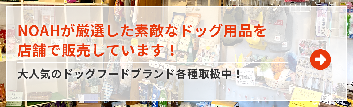 各種取り扱い中