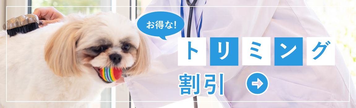 トリミング