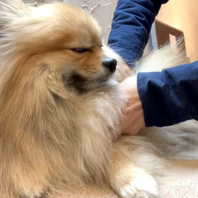 Tタッチ